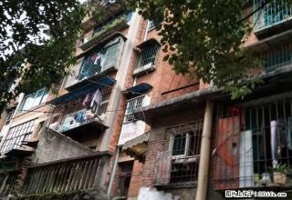 国贸购物旁 州物资局宿舍 三室一厅 家具电器 1100元每月 - 黔东南28生活网 qdn.28life.com