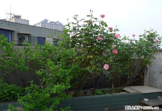 凯里凯里财校 2室1厅52平米 简单装修 面议 - 房屋出租 - 房屋租售 - 黔东南分类信息 - 黔东南28生活网 qdn.28life.com