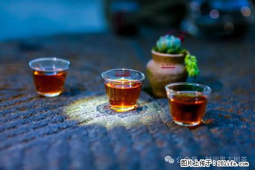 时间果百年古树2025年春红茶 - 购物交流 - 黔东南生活社区 - 黔东南28生活网 qdn.28life.com