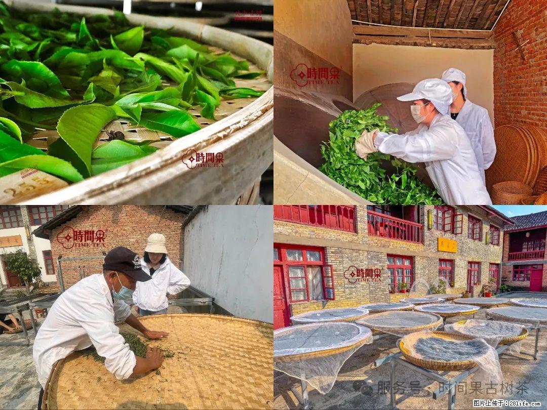 时间果百年古树龙珠普洱生茶 - 购物交流 - 黔东南生活社区 - 黔东南28生活网 qdn.28life.com