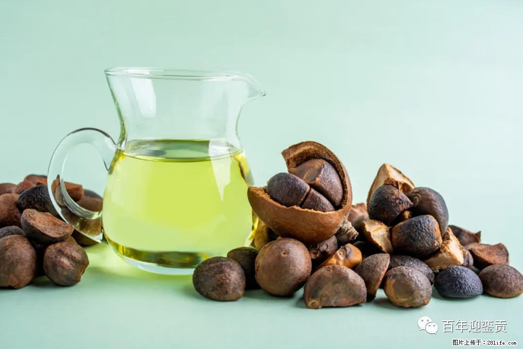 世界没有真相，只有认知，最好的食用油是中国的山茶油！ - 黔东南生活资讯 - 黔东南28生活网 qdn.28life.com