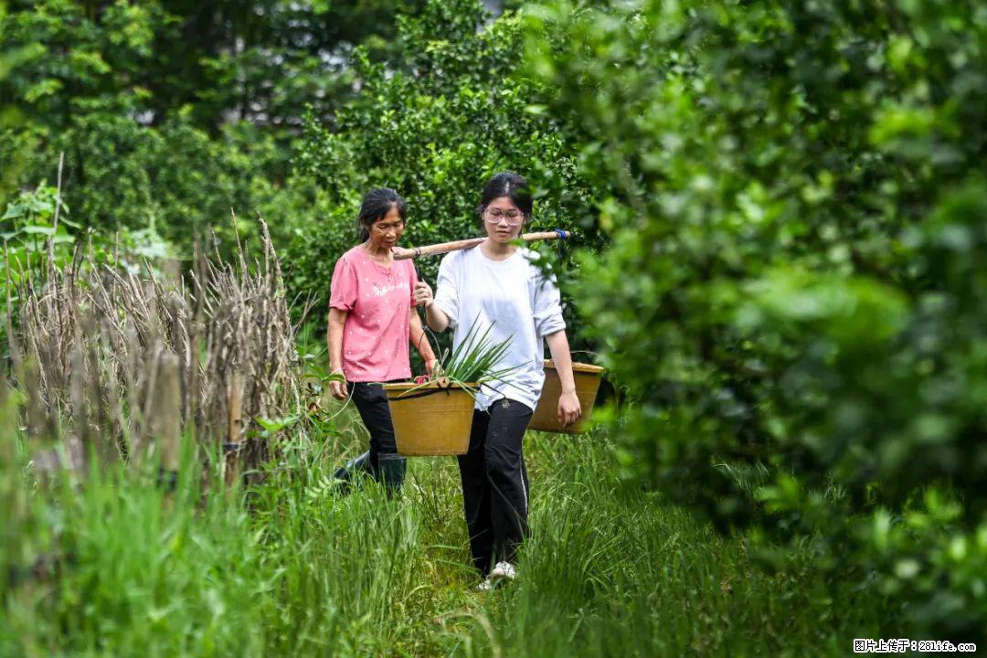 全网追的“扁担女孩”，找了一份暑假工，时薪12元 - 黔东南生活资讯 - 黔东南28生活网 qdn.28life.com
