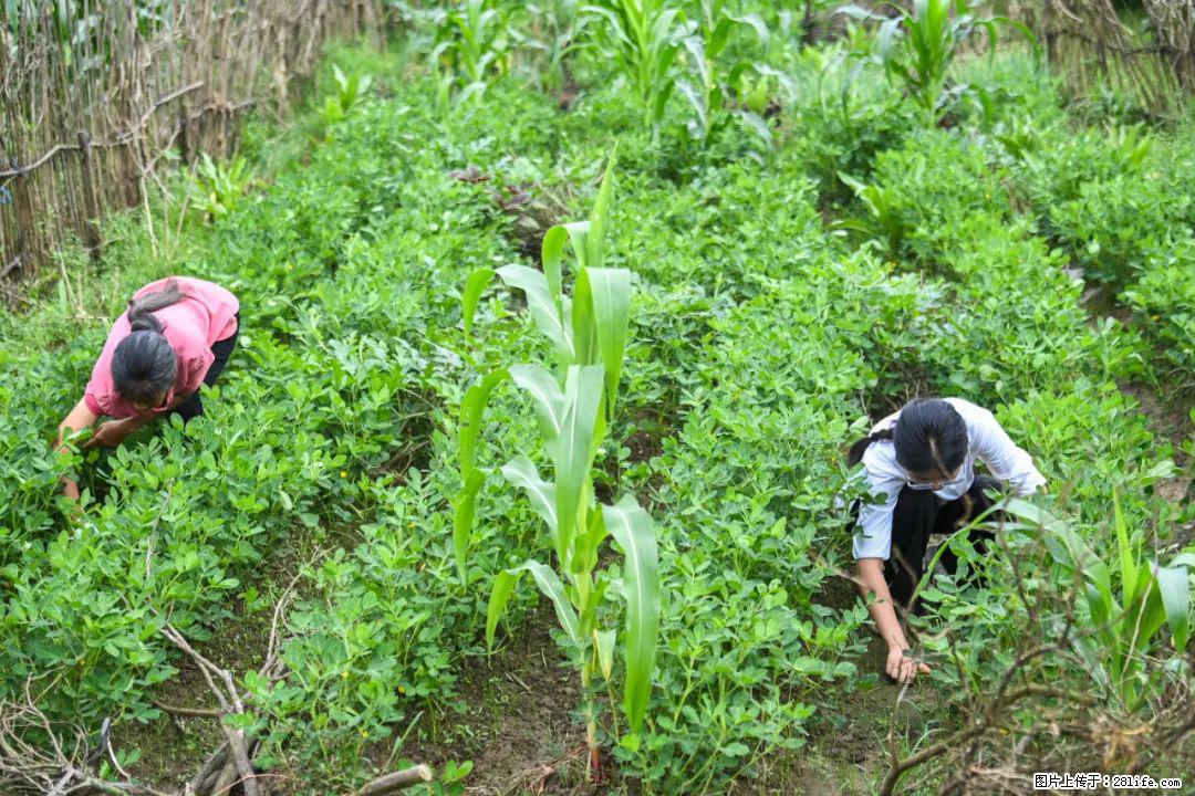 全网追的“扁担女孩”，找了一份暑假工，时薪12元 - 黔东南生活资讯 - 黔东南28生活网 qdn.28life.com
