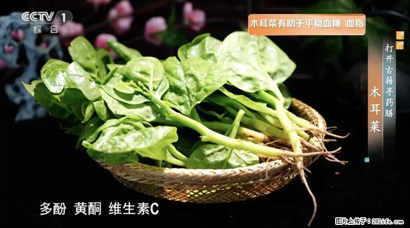 比牛奶补钙还厉害！凉血解毒、稳血糖...这菜冬天必吃，很多人却当草 - 黔东南生活资讯 - 黔东南28生活网 qdn.28life.com