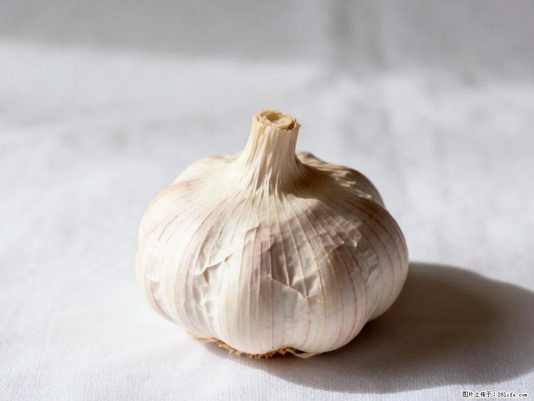 关于大蒜，除了“天然抗生素”，这4个谣言更该警惕! - 黔东南生活资讯 - 黔东南28生活网 qdn.28life.com