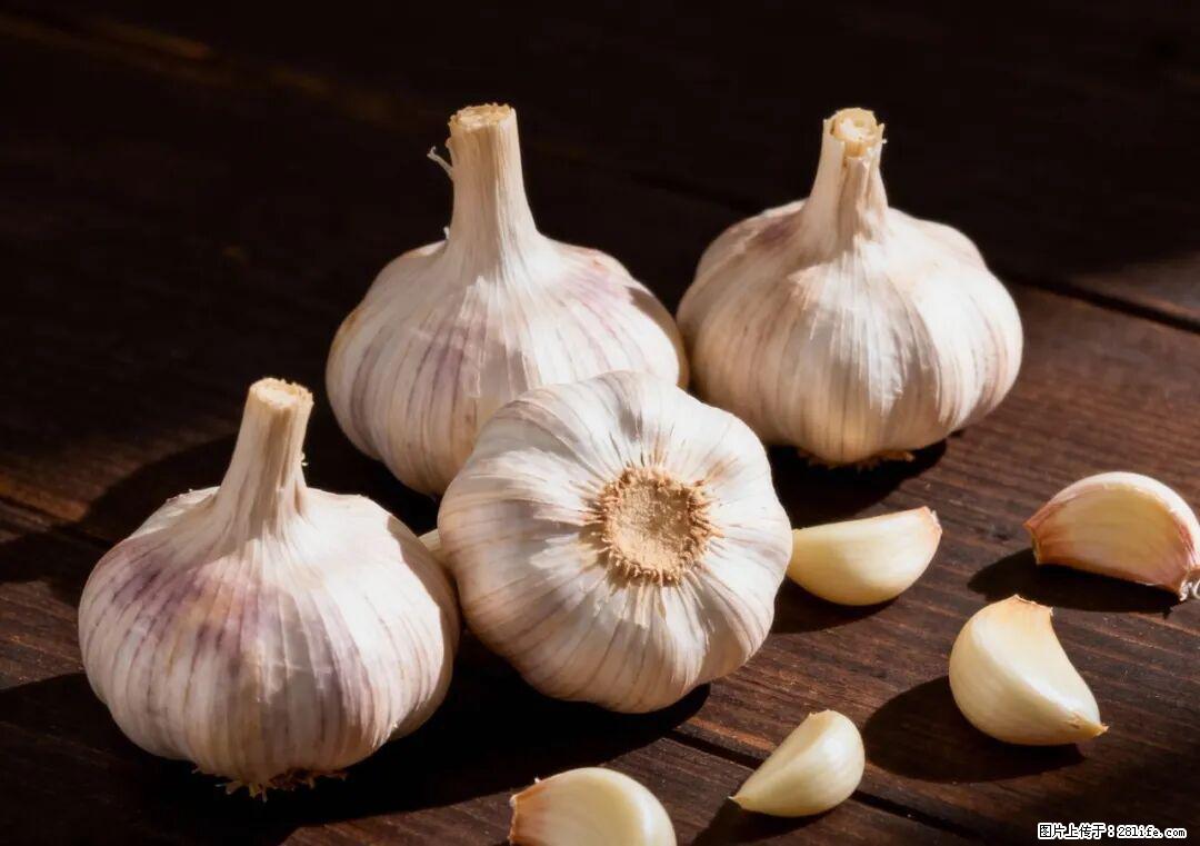 关于大蒜，除了“天然抗生素”，这4个谣言更该警惕! - 黔东南生活资讯 - 黔东南28生活网 qdn.28life.com