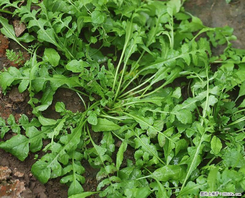 这些蔬菜是“天然钙片”，这6种被医生重点推荐 - 黔东南生活资讯 - 黔东南28生活网 qdn.28life.com